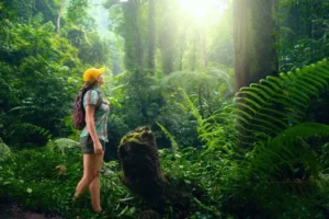 sustainable travel